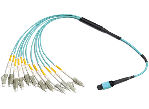 MPO (M) - 12 x LC Simplex - OM3 - With reversible MTX